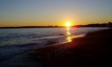 寄托着希望与信仰的美妙诗句：描绘着生命之花盛放的迷人画卷