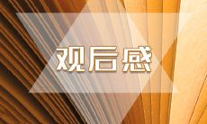 探究北京2022年冬奥会直播观后感的一篇范文