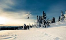 探究诗人对二十四节气大寒的诗意表达——唯美大寒节气的诗选