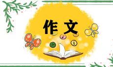 小学生创意点燃冰雪梦：2022年北京冬奥会主题作文大赛冠军作品集