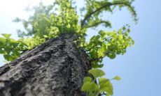 2022年举办的冬季奥林匹克运动会，值得在朋友圈上分享的一些短句子