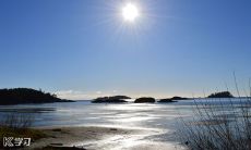 在2022年冬奥会年度赛事中令人惊叹的文案，令您心动不已！