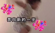 请您让我写下最美好的祝词——生日文案