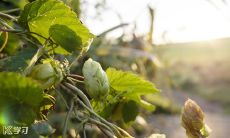 探讨2022年冬奥会前景展望之寄语议论