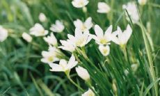 18句暗示想离婚的说说，表达已经疲惫到了极点，需要结束一段关系的心情