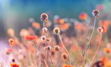 一份鼓舞人心、激发正能量的座右铭集锦：数百条励志、正能量座右铭大全简短！