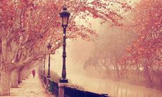 探索最实用的工作座右铭，帮助您在职场上获得成功！