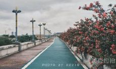 表达自我情感波动——既享受喜悦又经历沮丧的个人感受表述