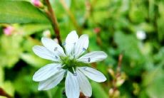 让男生永久后悔的无情话语和伤人语句