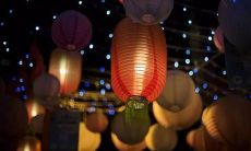 孩子们，元宵节到啦！让我们送上最温馨的祝福，愿幼儿园里的每个宝贝都度过一个甜蜜且快乐的元宵佳节！