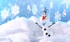 感恩相逢，共赏唯美句子之友情，让我们的生命更加丰盈和有意义！