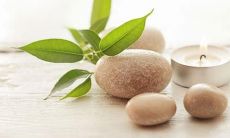 探讨如何以短信问候语的方式传达养生理念，提升健康生活质量