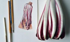 在高校里读书的时候，用于表达友情和爱情的句子有哪些？