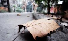 寻觅安慰的心灵呼唤——探寻与悲伤相遇的句子们