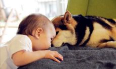 不听他人意见的人会失去很多机会和经验