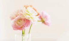 亲情被轻视的文化倾向对家庭关系的影响