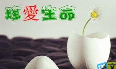 精选表达对生命热爱的名言和语录，激励人们珍惜每一天和拥有的一切！