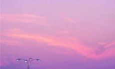 用语言表达亲情缺失的长句子