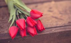 四月份的励志分享：激励人心的话语，启发思考的故事，提供行动力的技巧！