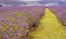 20个经典减肥药品广告语大全，教你如何选择健康有效的减肥方法！