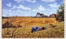 分享自己的乡村生活经验：如何在农村中获得幸福感和满足感