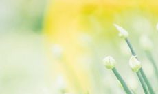 2022年最具启发性及深刻含义的祝福措辞