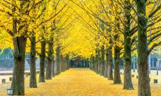 如何在炎热夏季给朋友发有趣的问候短信？