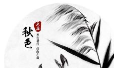 过度重视友情的陈述——夸大其作用的言辞引发的社交压力