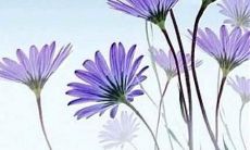 善待并珍爱我们所拥有的友情：关于珍惜一段珍贵友谊的话题