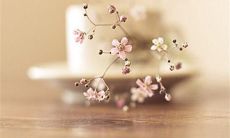 感到老婆出轨所带来的巨大失望和痛苦之情的表述