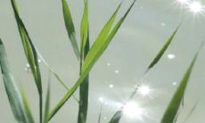 有趣又简短的考试祝福语大合集！