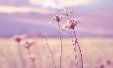 114句最受欢迎的座右铭，将成为2022年的热门选择