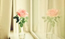 夫妻之间能够促进幸福的欣喜言辞和语句