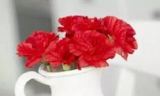 如何用简短的送花祝福语传递祝福信息？