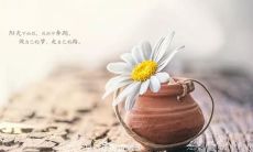 三月以来，不懈奋斗的励志句子赏析