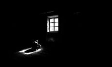 用短语倾诉内心疼痛的句子，分享心情感受