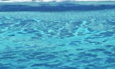 一个让我非常开心的句子，带来了真正的快乐与幸福