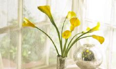 瞥见可爱的小白兔时，我为之开心激动、欣喜若狂的情感表达