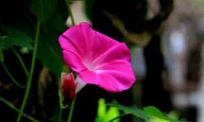 短信开始最好以问候开头，这样有助于建立亲密感和友好关系