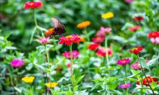 描绘小时代中友情的表现：一系列令人心动的句子