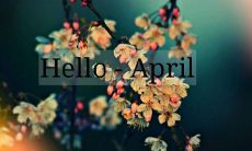 让我们一起振奋精神，充满动力地迎接充满希望和机遇的2022年四月吧！