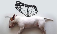 歡樂之語，讓人快樂不已：引人入勝的搞笑句子，輕鬆帶來幸福感