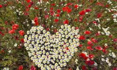 用比喻表达同学之间友情的持久与稳定性