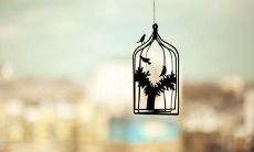 Beautiful English Sentences on Friendship and Camaraderie - Expressing the Essence of True Companionship