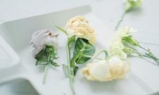 选择爱情和友情的艰难抉择：关于情感之间的句子