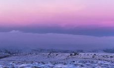 利用句子来回忆幸福友情，分享内心感受