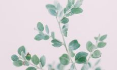 用绚丽的语言，描绘面部欢快的情景：绽放着快乐笑容的美丽脸庞，幸福洋溢在明媚的眼眸和灿烂的笑靥之间，彷若春风拂面，温柔舒畅感油然而生