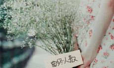 一个让人感到莫名其妙的、充满心烦的句子，如何应对？