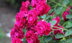 探索友谊未来所能发展的不同可能性的探索