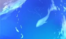 通过时空跨越的友谊之句